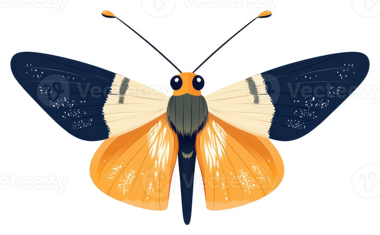 Vibrant illustration of an orange and navy butterfly. png