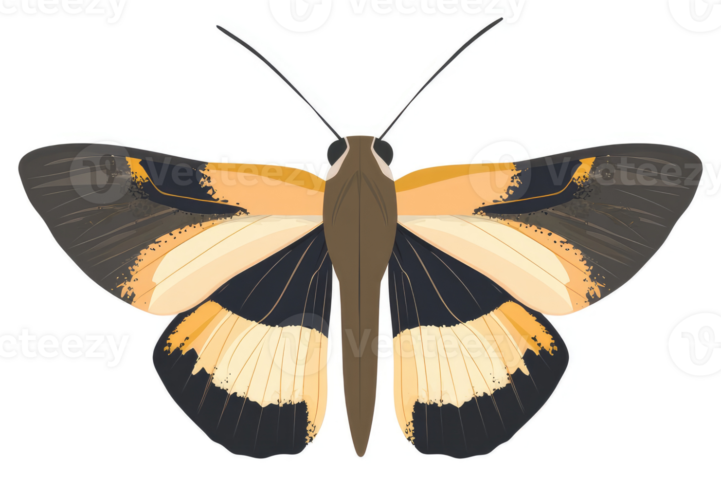 A vibrant illustration of a butterfly with orange, cream, and dark brown wings. png