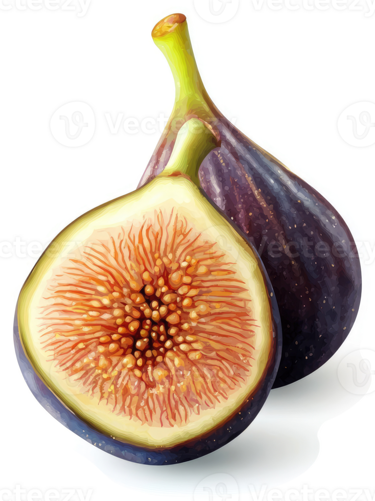 A halved fig, showcasing its vibrant interior. png