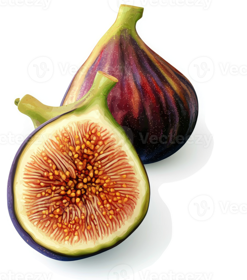 Two figs, one whole and one half, displaying vibrant colors and textures. png