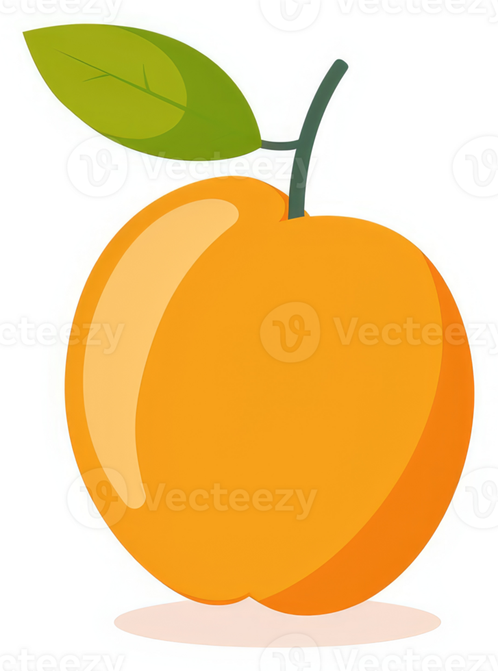 A vibrant illustration of a single ripe apricot. png