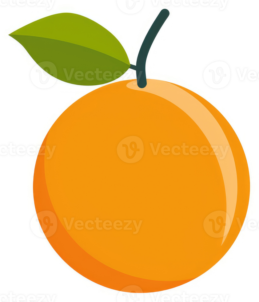 A vibrant orange fruit with a single leaf. png