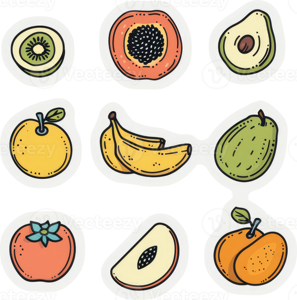 A collection of colorful and simple illustrations of various fruits. png