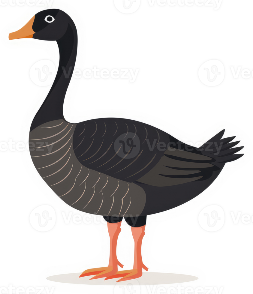 A cartoon illustration of a greylag goose. png