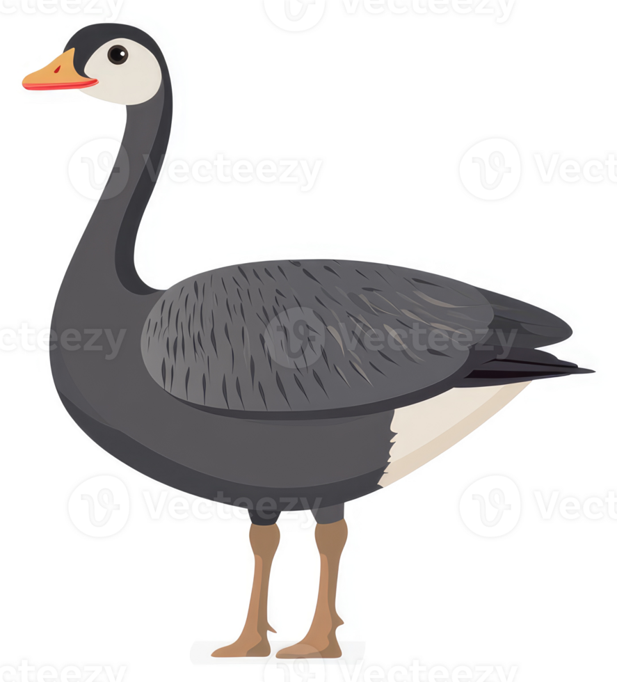 A cartoon illustration of a gray goose. png