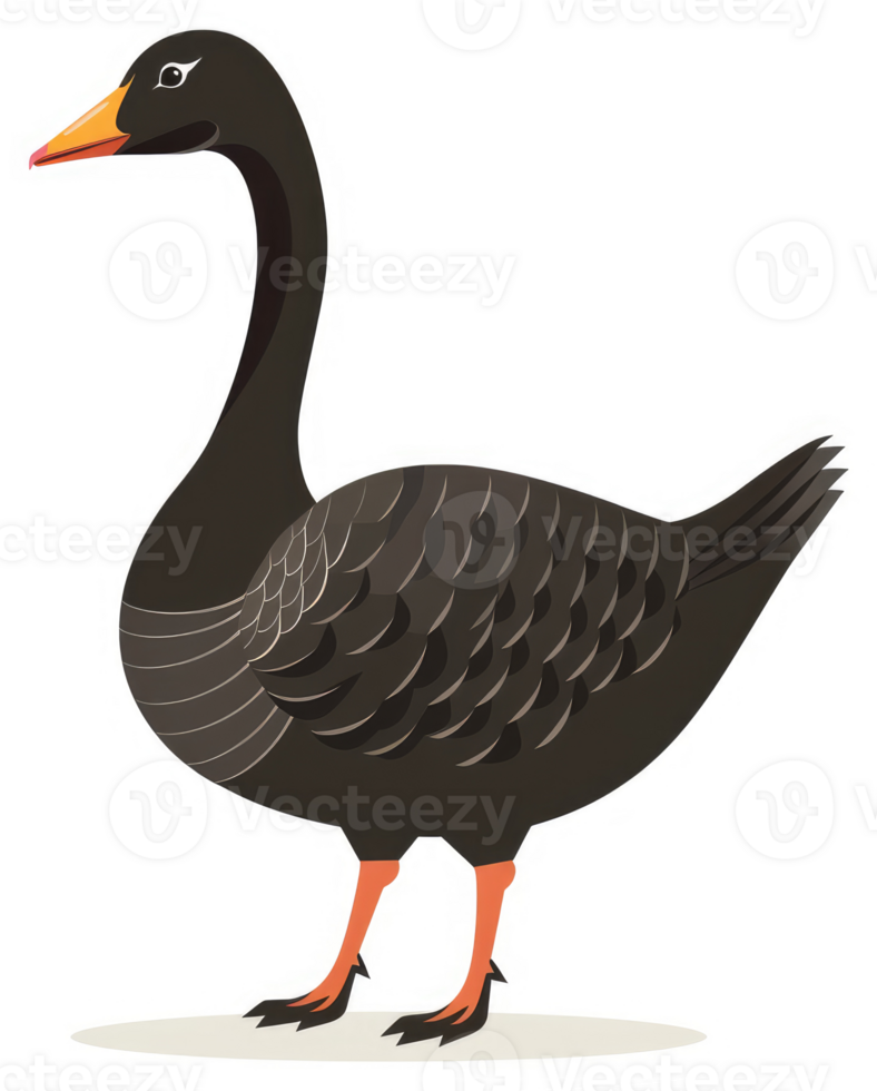 A side view of a dark-colored goose. png