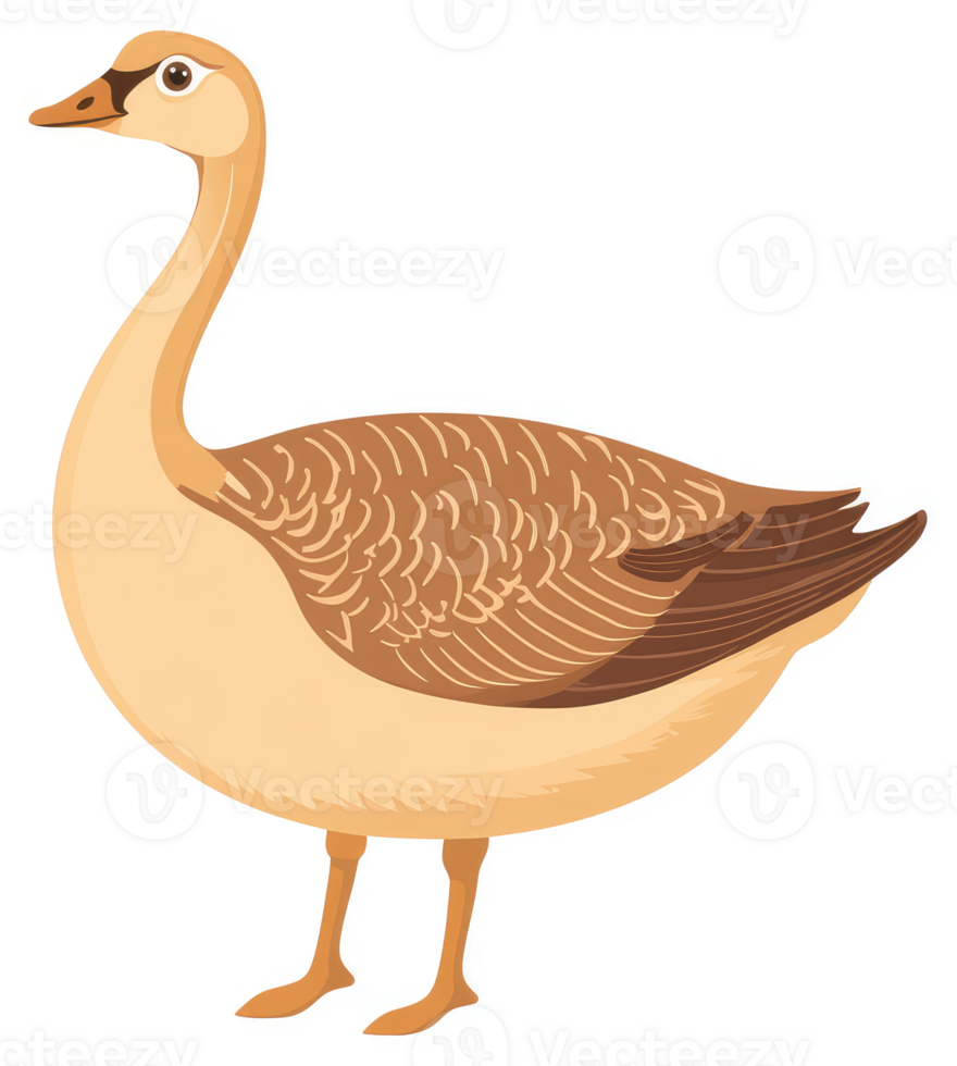 A illustration of a beautiful light brown and tan colored goose. png