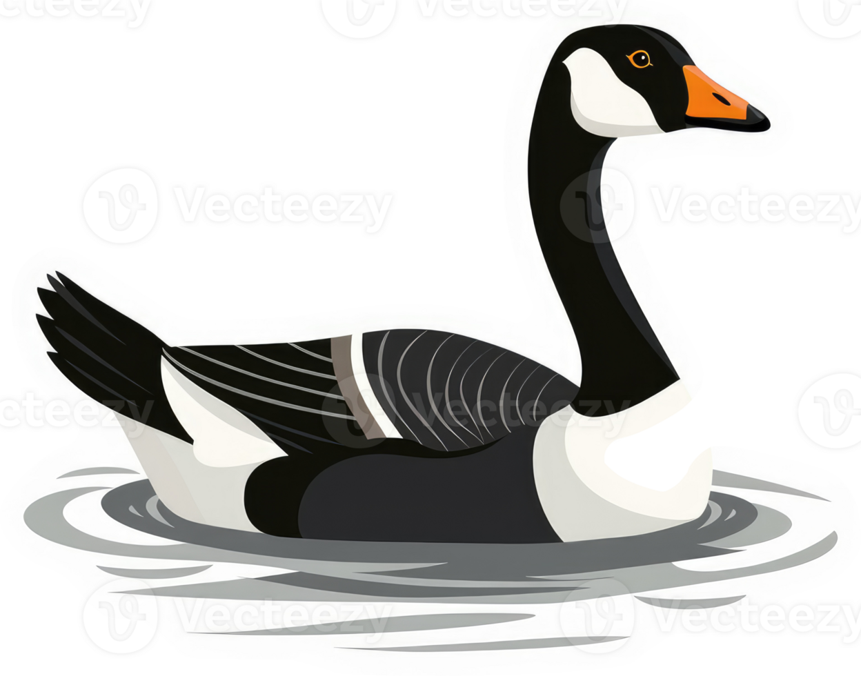 A cartoon illustration of a canada goose floating on water. png