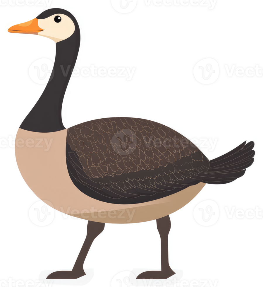 A cartoon illustration of a canada goose. png