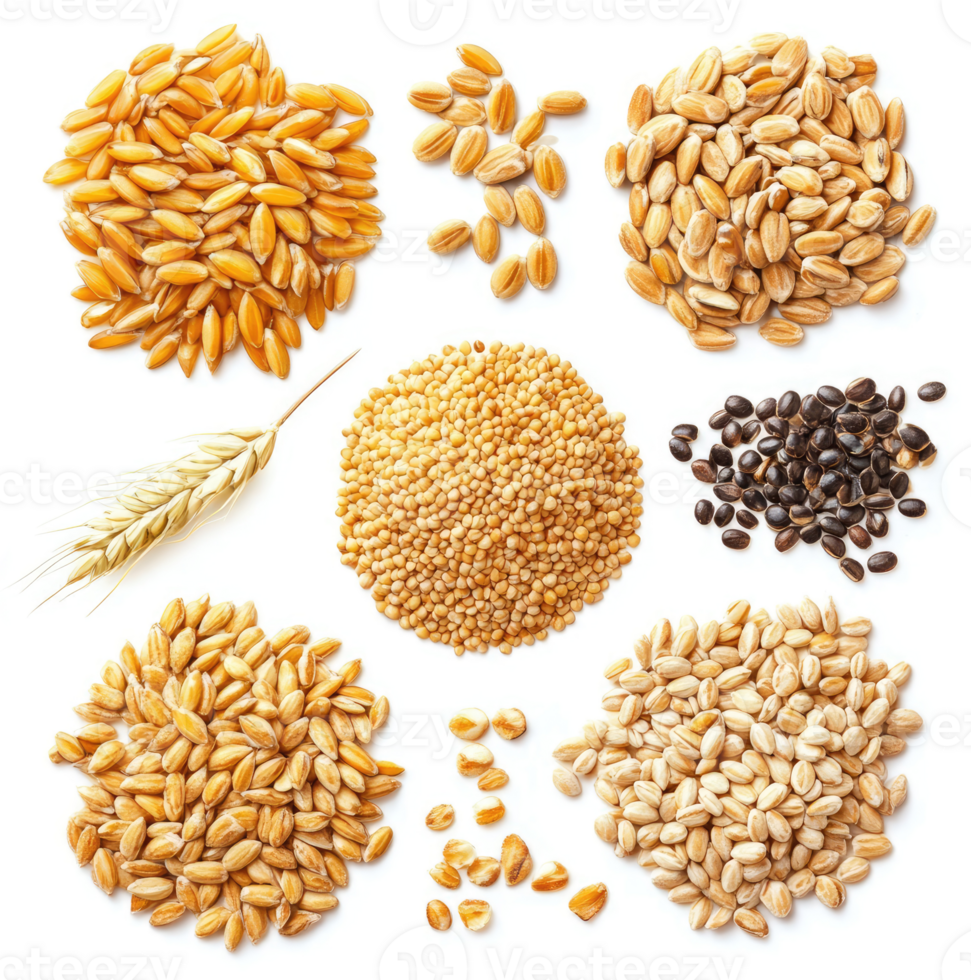 Assorted grains and seeds displayed against a white background. png