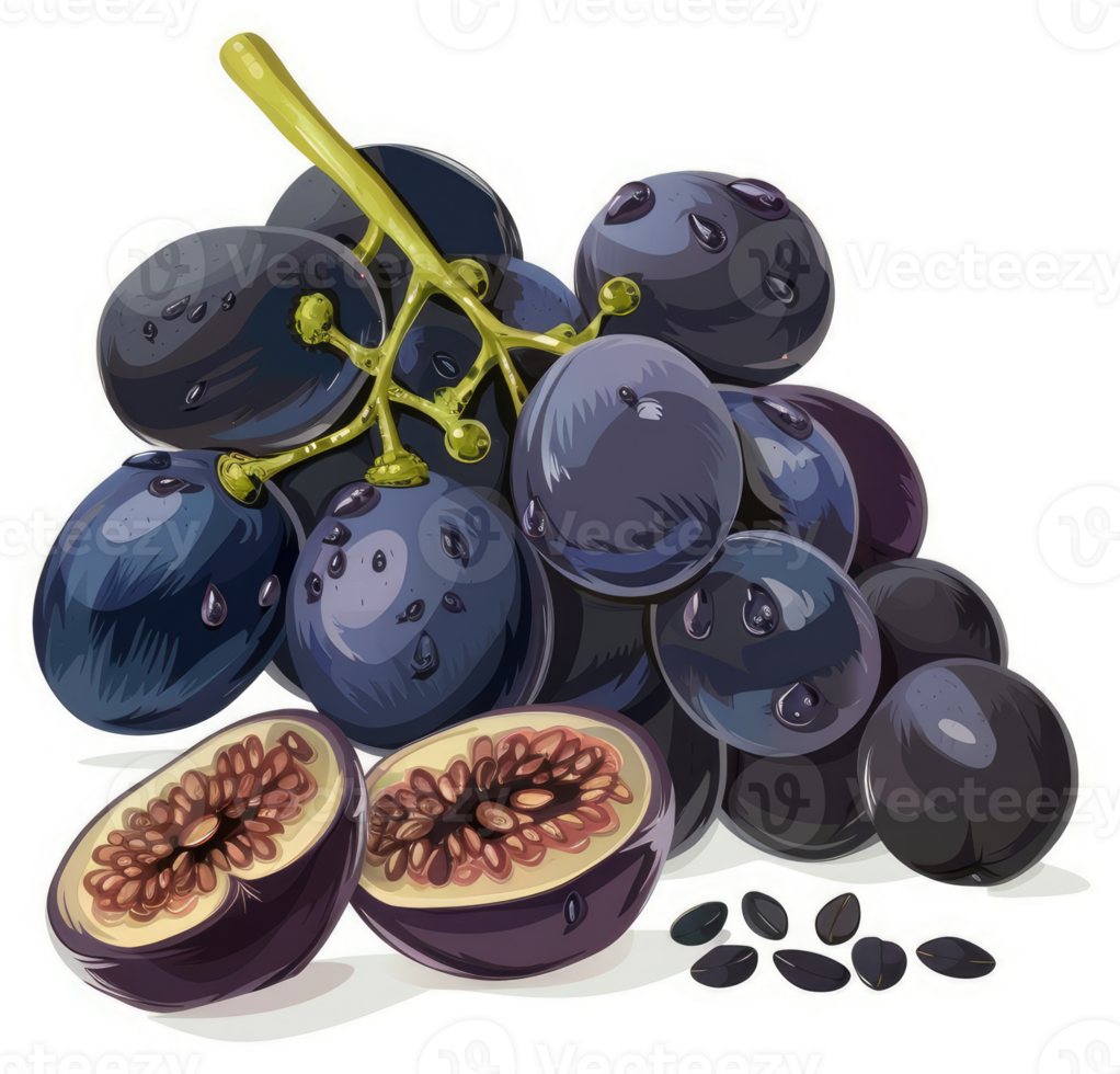 A cluster of dark grapes and figs with seeds. png