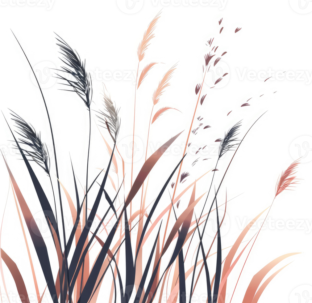 A vibrant illustration of tall grasses in various shades of brown and peach. png
