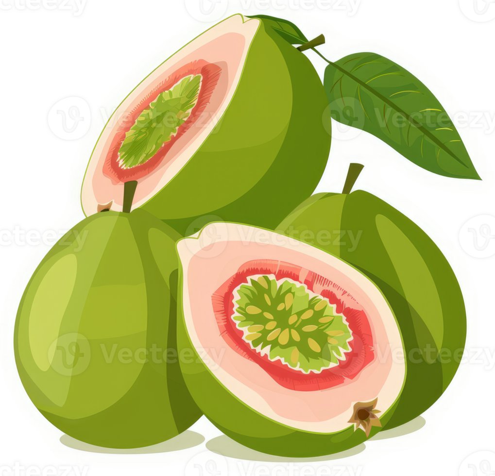 A colorful illustration of fresh guava fruits, whole and sliced. png