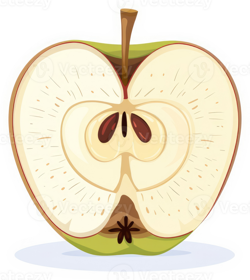 A cross-section view of a juicy apple displaying its core and flesh. png