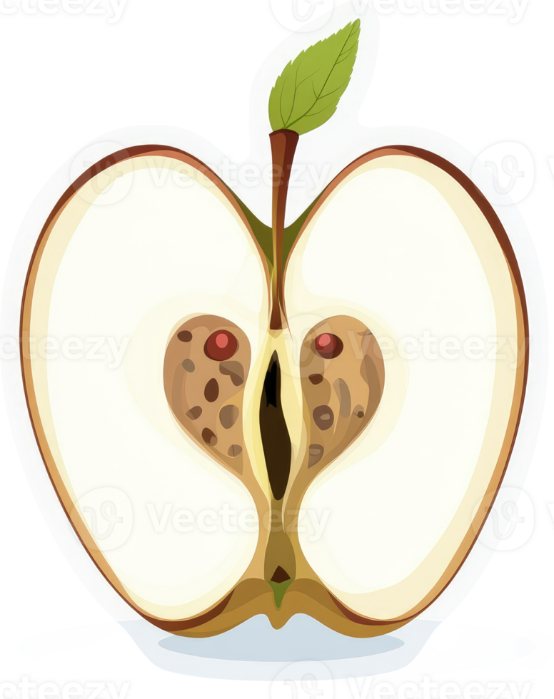 A cross-section of a ripe apple showcasing its core. png