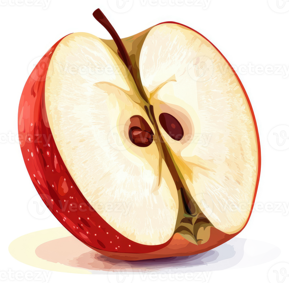 A vibrant illustration of a sliced red apple. png