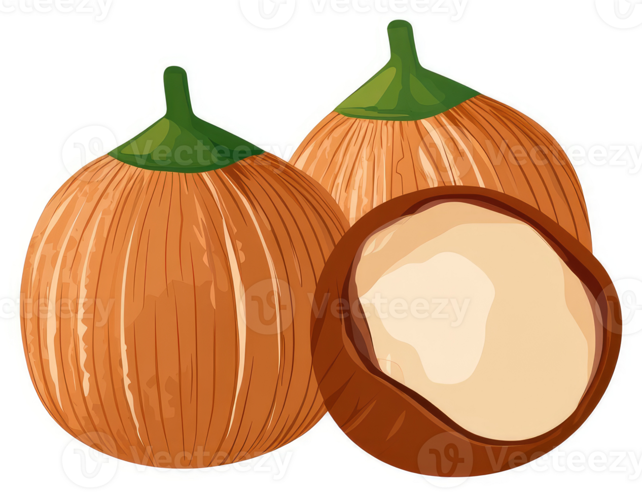 Two whole and half hazelnuts displayed in a close-up image. png