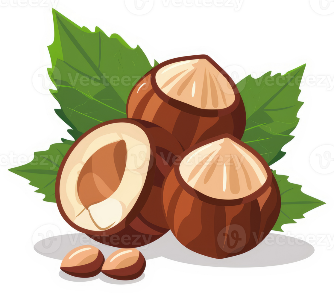 Hazelnuts with leaves and shells, showcasing the nuts' inner core. png