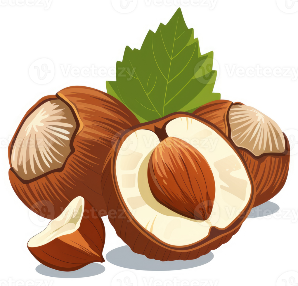 A close-up view of whole and halved hazelnuts with a vibrant green leaf. png