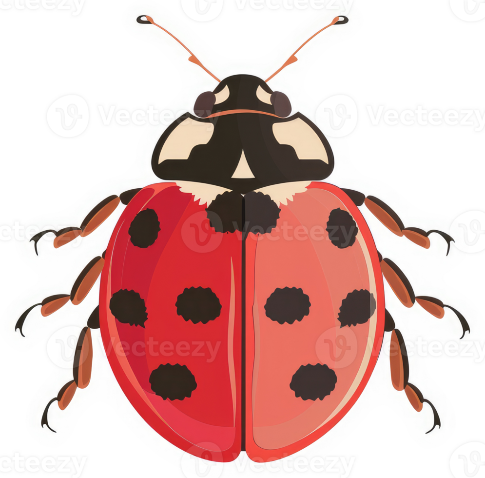 A vibrant illustration of a ladybug with distinctive spots. png