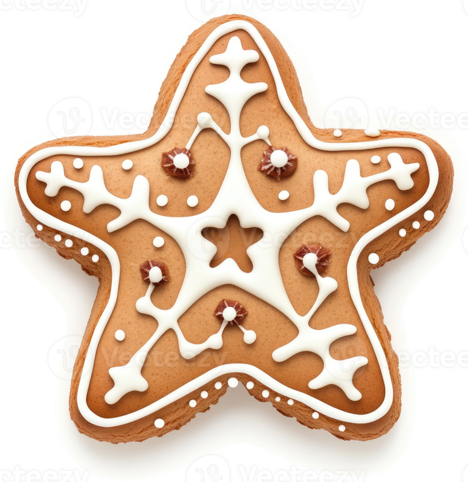 A decorated gingerbread star cookie with a snowflake design. png