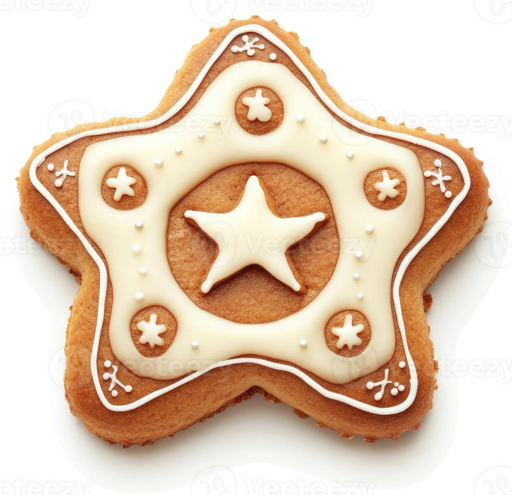 A decorative star-shaped gingerbread cookie with intricate icing design. png