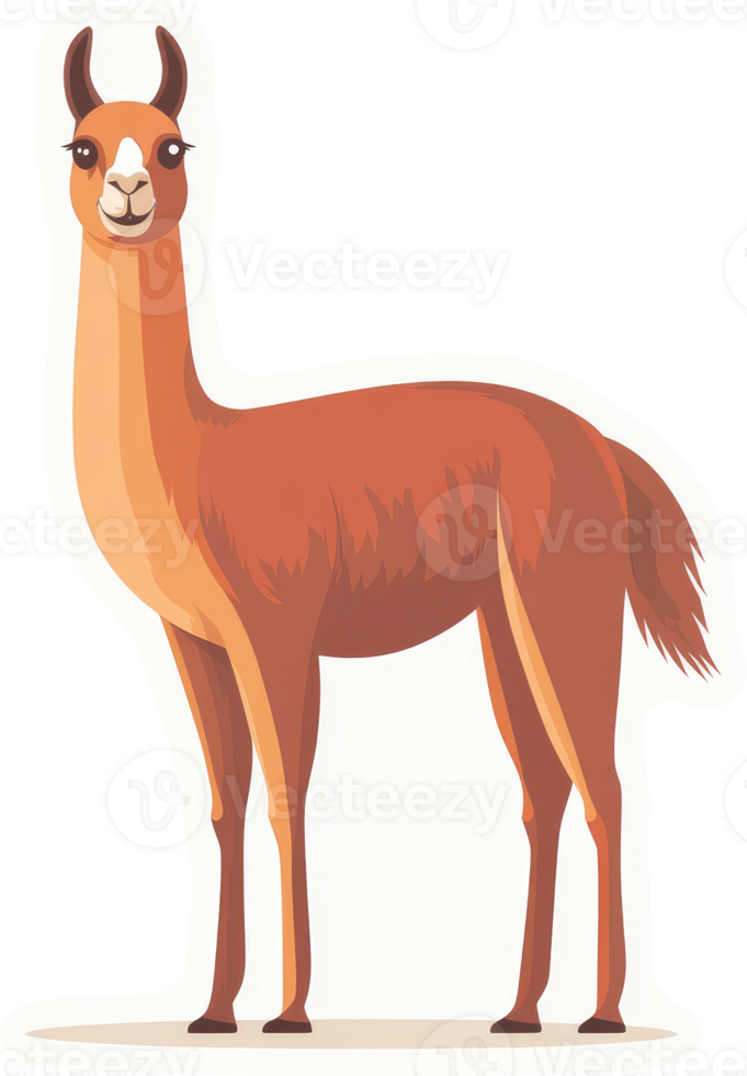 A friendly llama in profile view. png