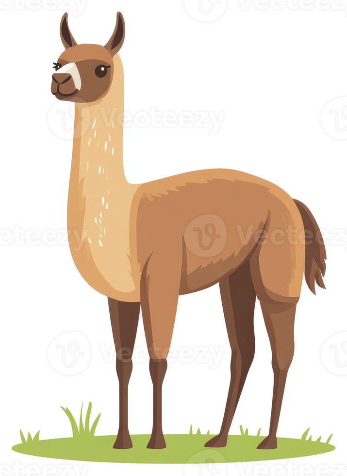 A cartoon illustration of a llama standing on a grassy field. png