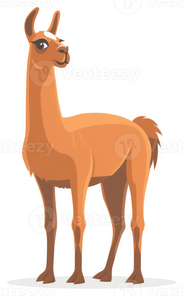 A charming illustration of a llama gazing upward. png