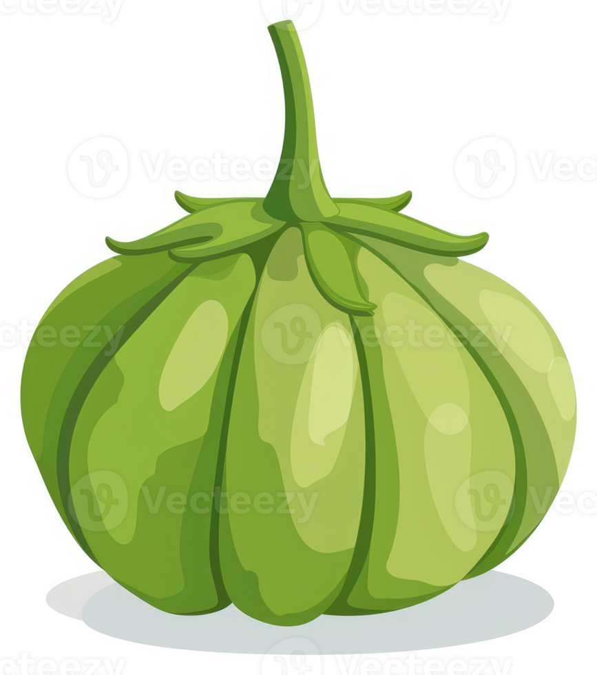 A vibrant illustration of a green, ribbed fruit. png