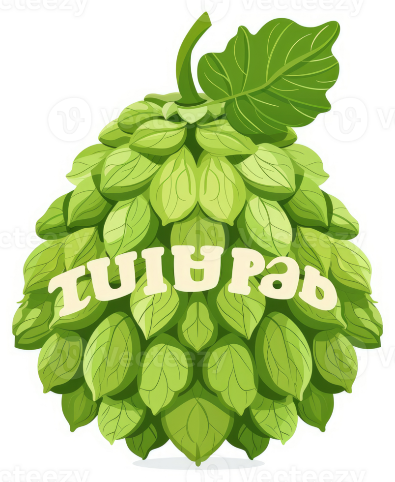 A vibrant illustration of hop cones, showcasing a cluster of fresh, green hop leaves. png