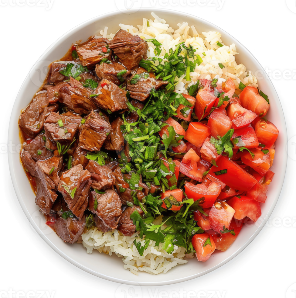 A flavorful bowl of seasoned beef, rice, and diced tomatoes. png