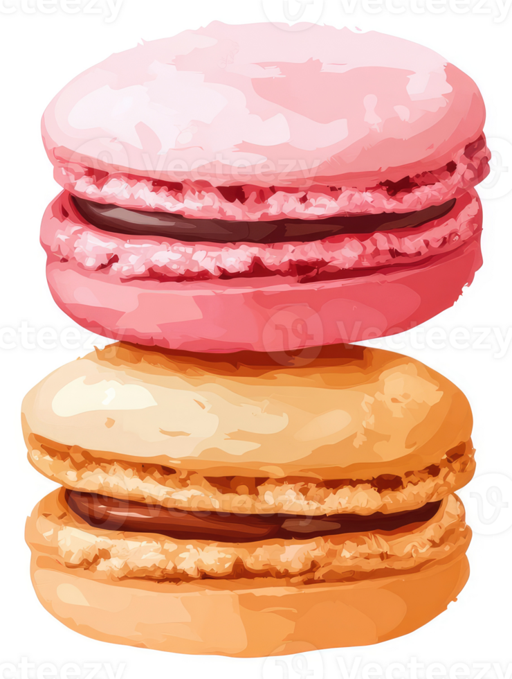 Two colorful macarons with chocolate filling. png