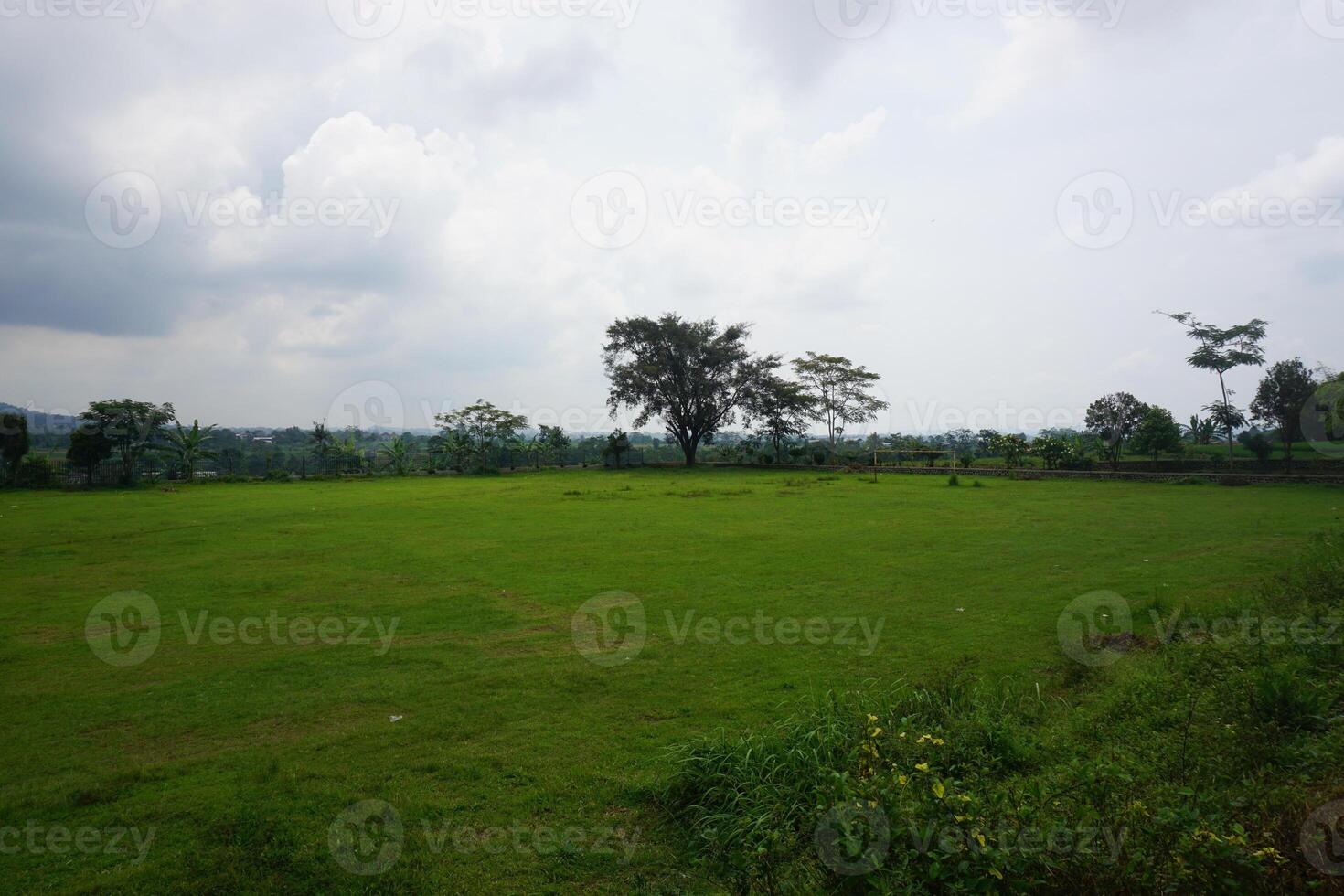 Lush green field, tree, cloudy sky, rural landscape, nature background photo