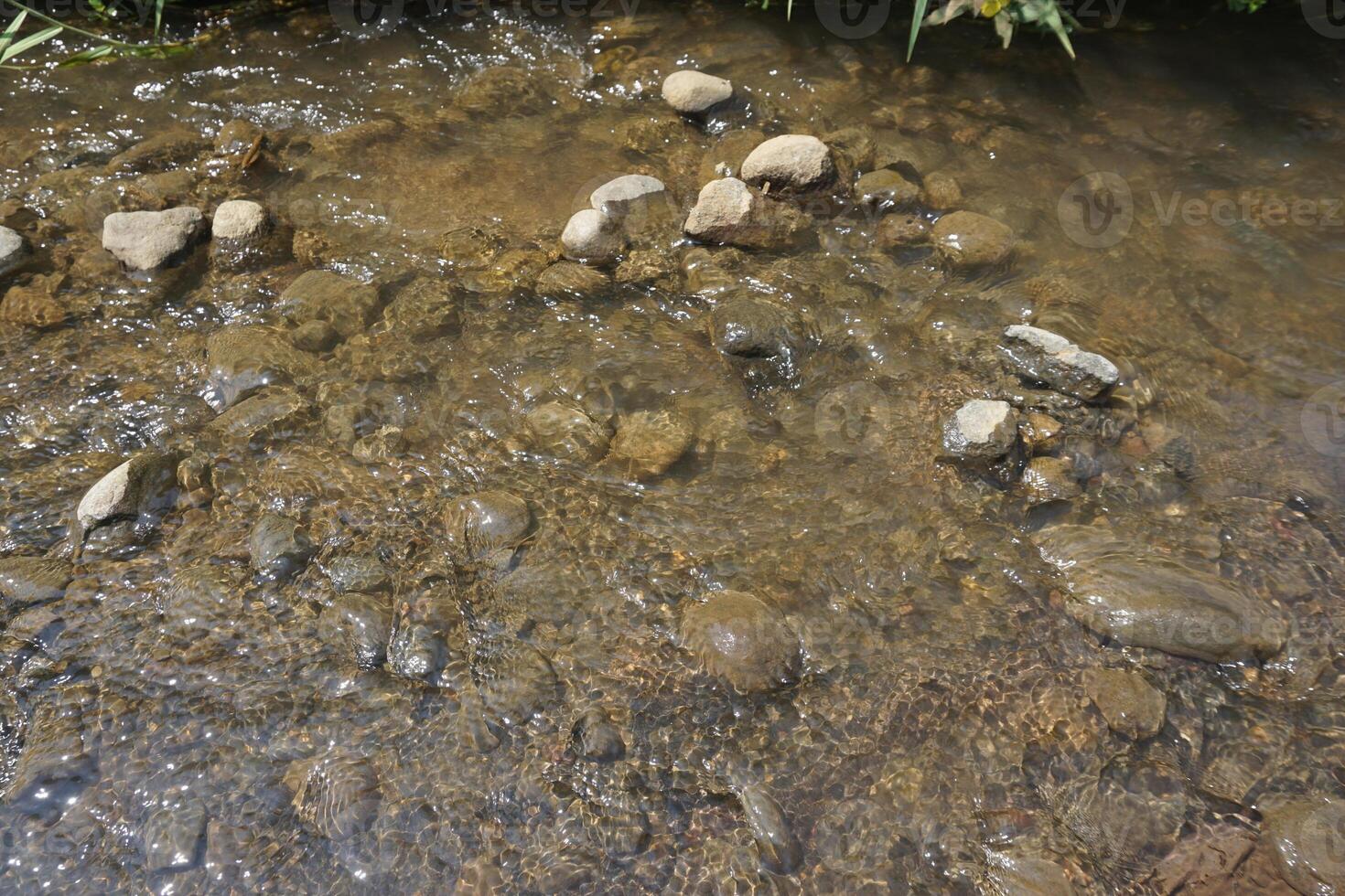 Clear stream flows over rocks, plants background, nature scene photo