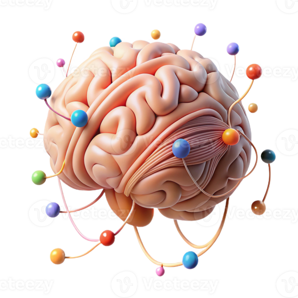 beautiful vintage Human Brain with Neural Connections Isolated high resolution png