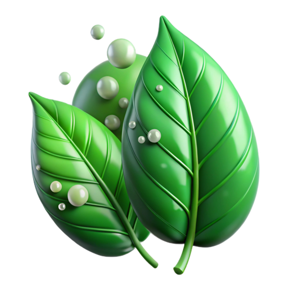 elegant artistic Green Leaves with Dewdrops Transparent authentic png