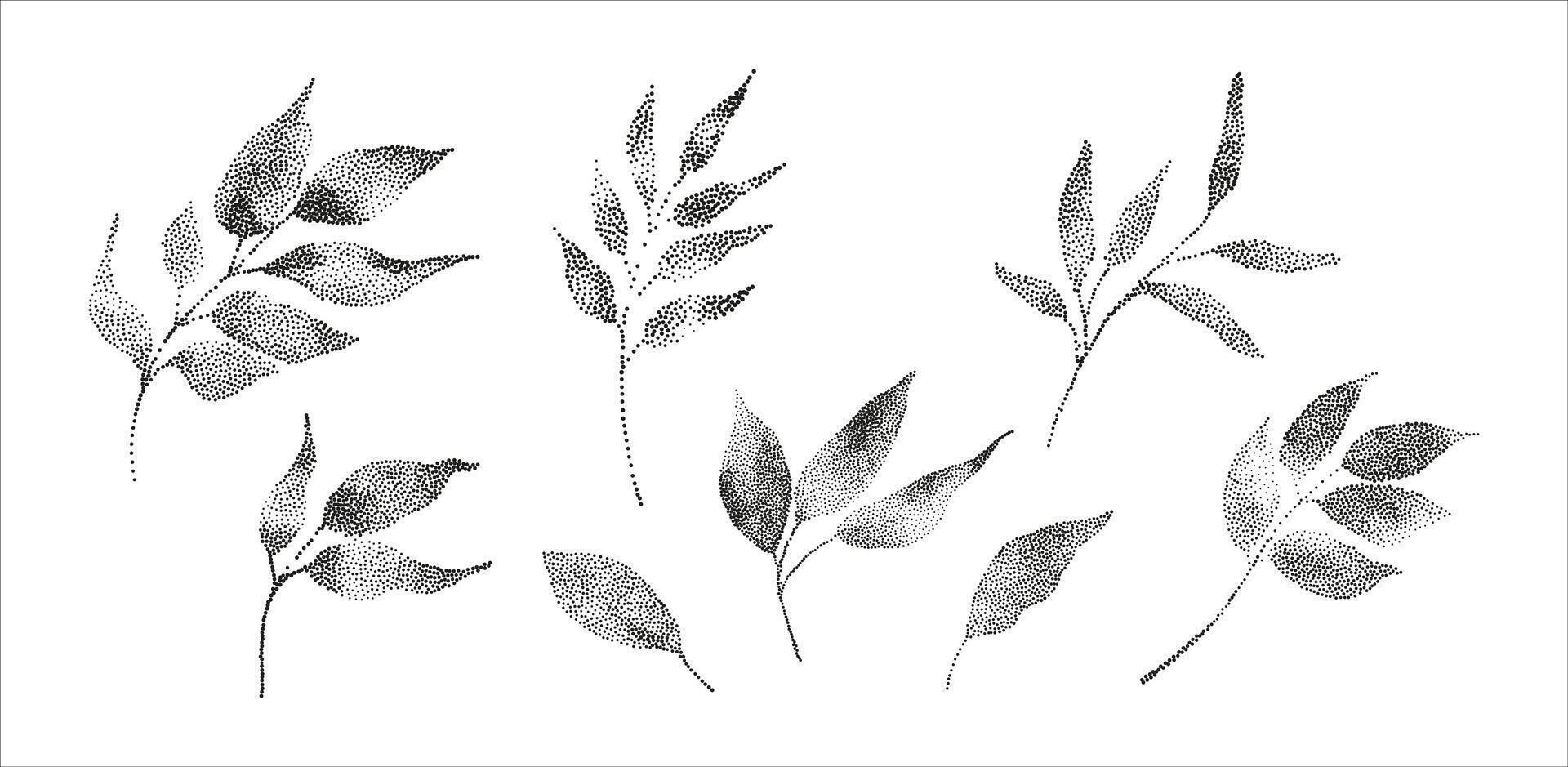 A set of black and white leaves on a white background vector