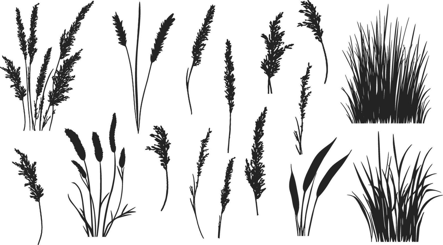 Set of grasses and reeds silhouettes illustration vector