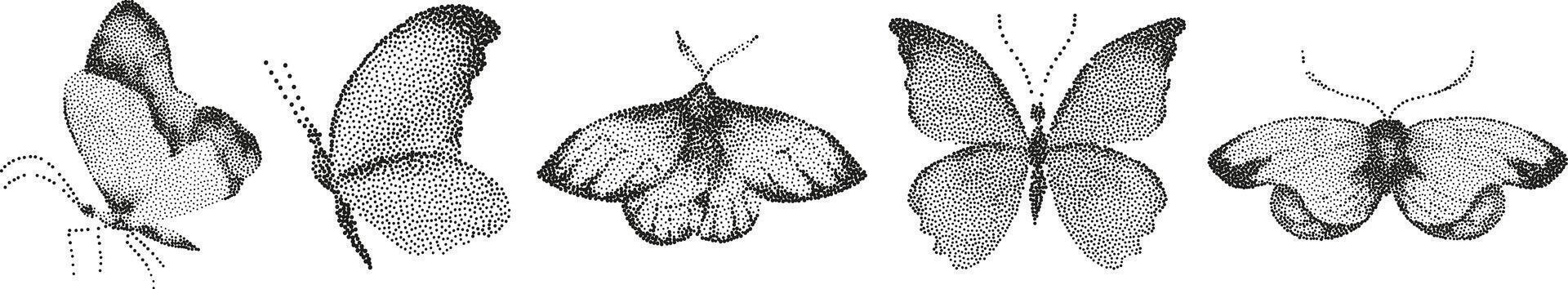 A drawing of four different types of butterflies vector