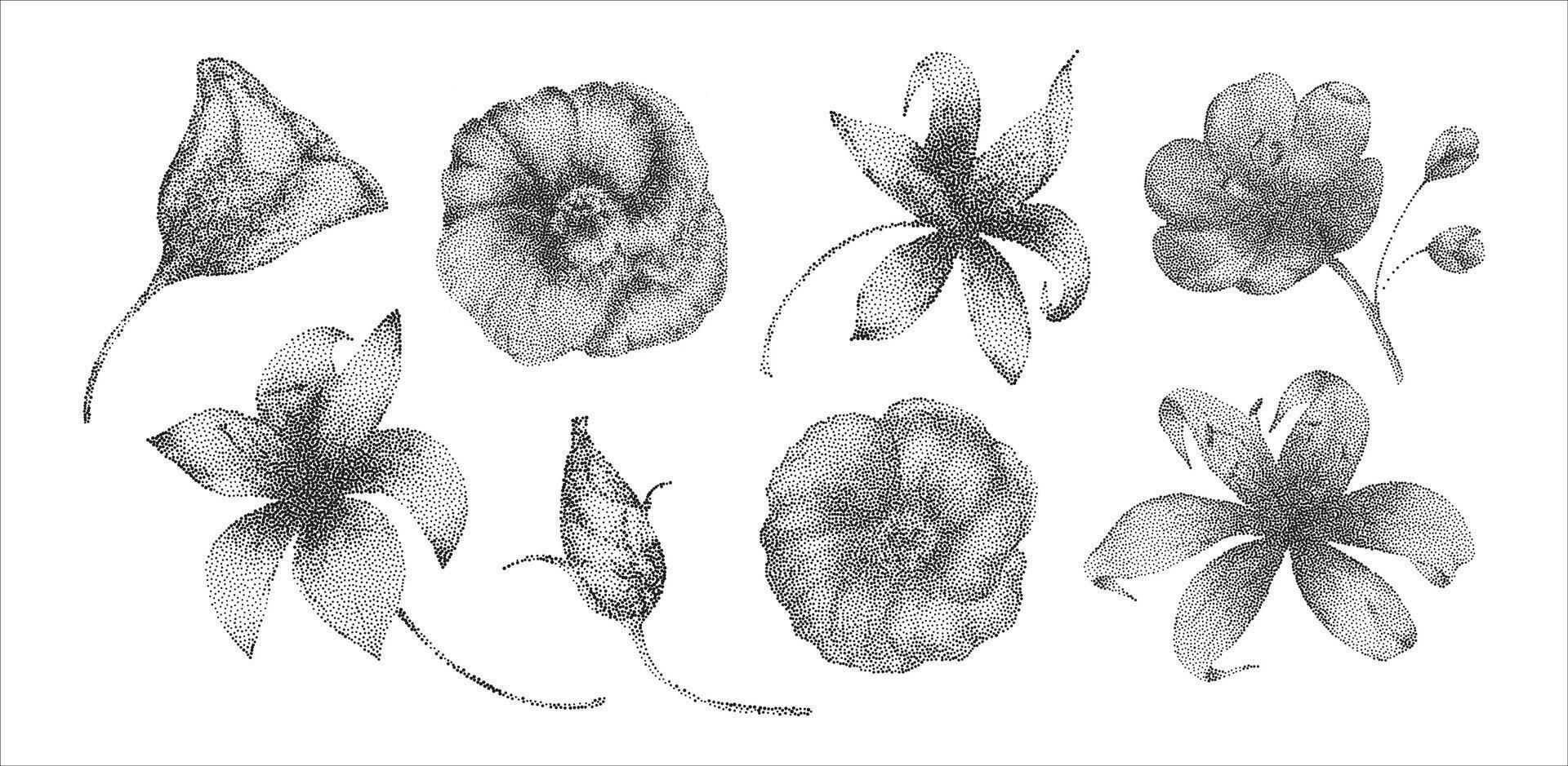 A set of black and white flowers on a white background vector