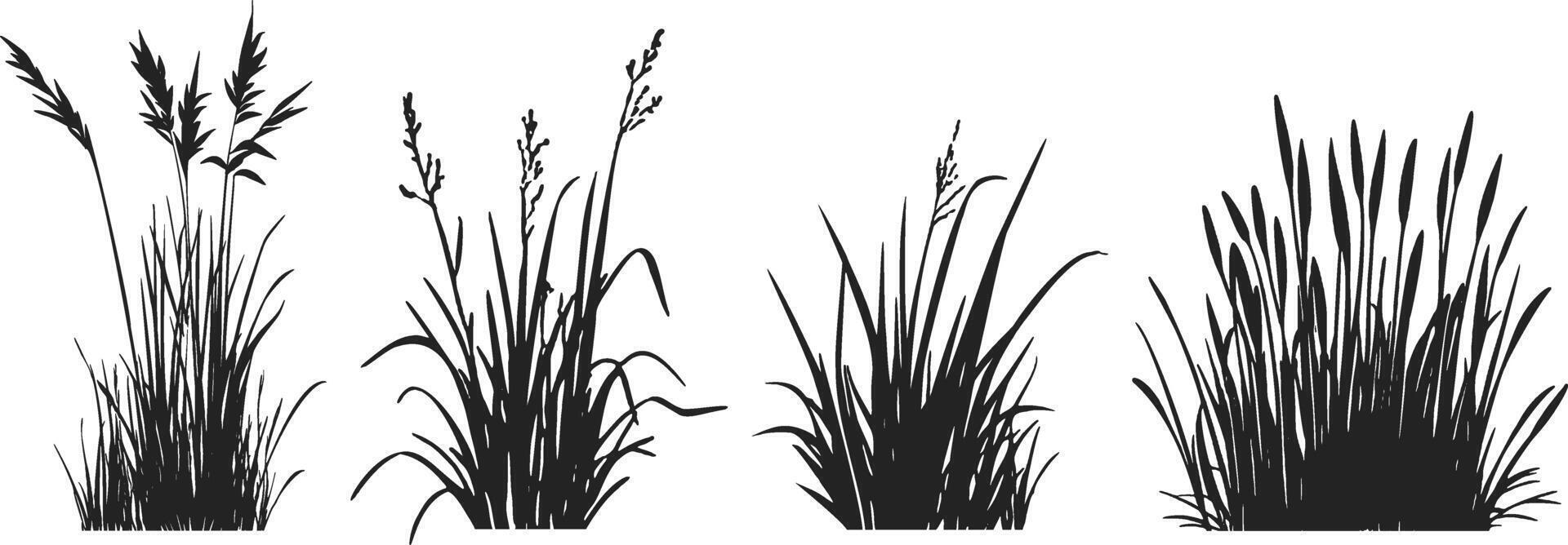 A set of black and white silhouettes of grass vector
