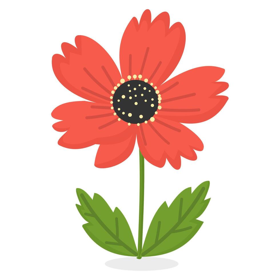 Red anemone flower illustration isolated on white background vector