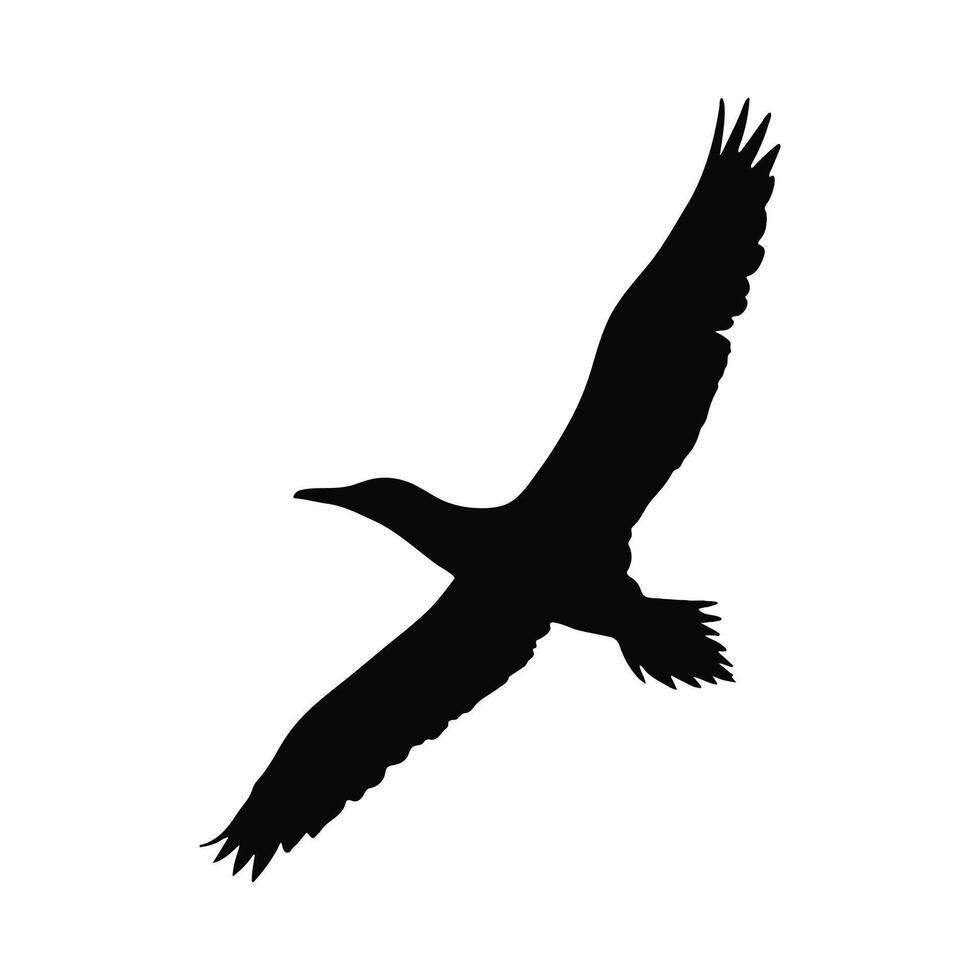 Flying Bird Silhouettes vector