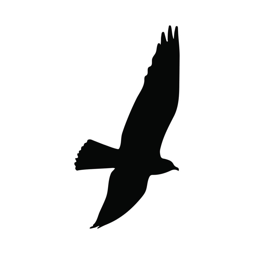 Silhouette of a Bird in Flight on White Background vector