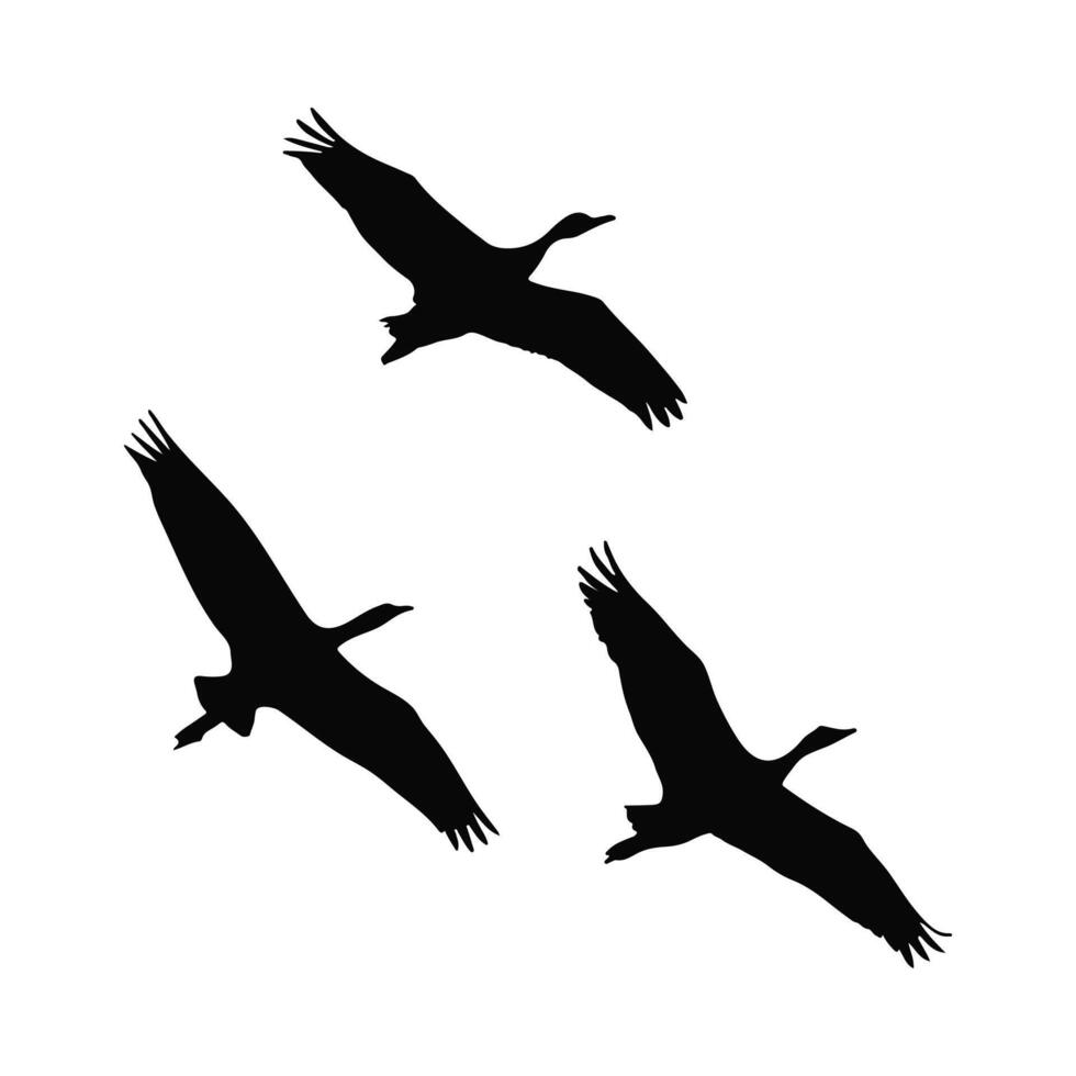 Group and Solo birds in ky vector
