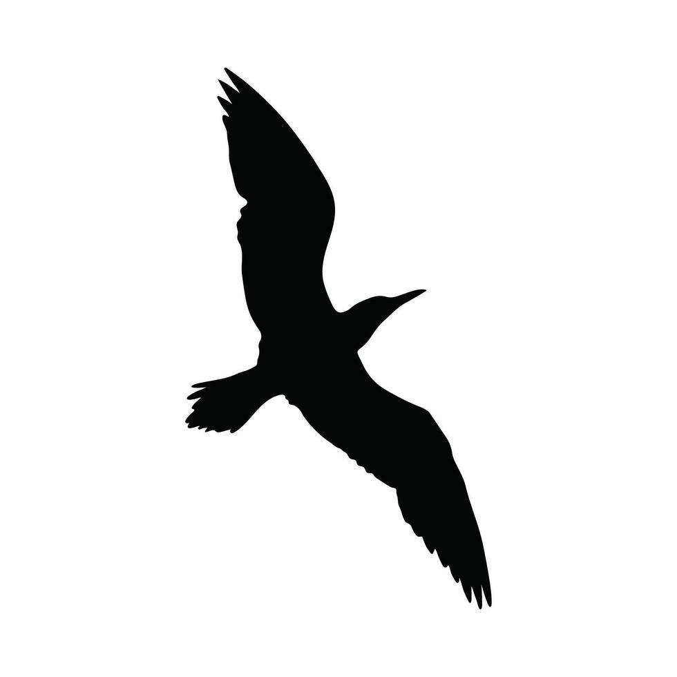 Black Silhouettes of Birds in Flight vector