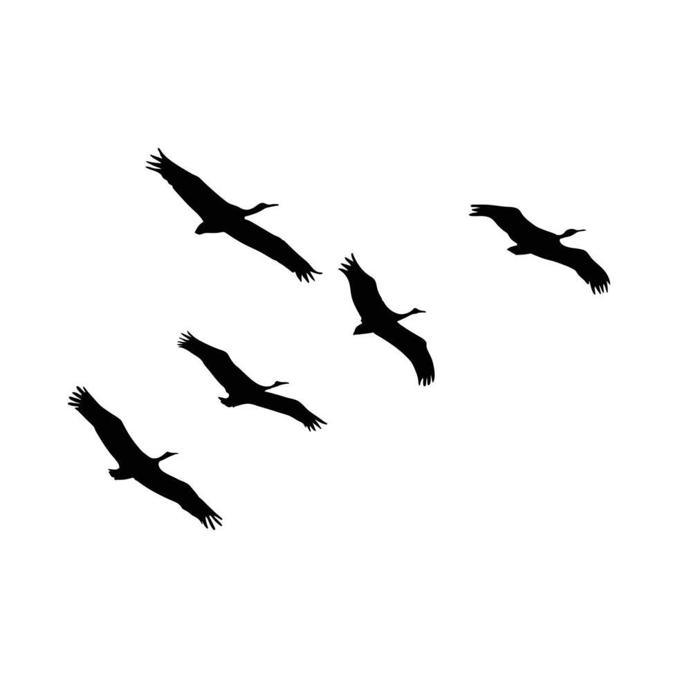 Flock of bird flying in the sky silhouette vector