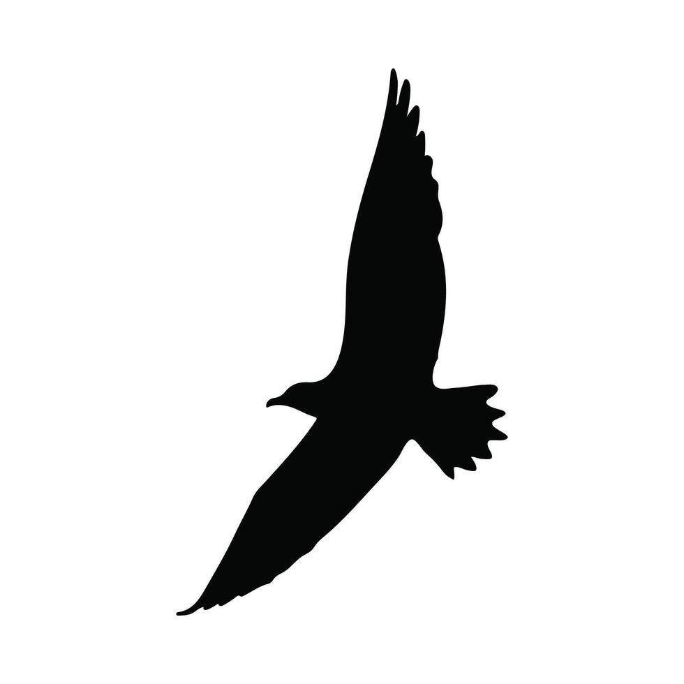 Flying Birds Silhouette vector