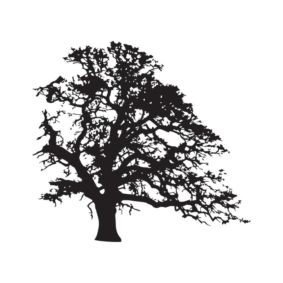 Black Silhouette of Oak Tree vector
